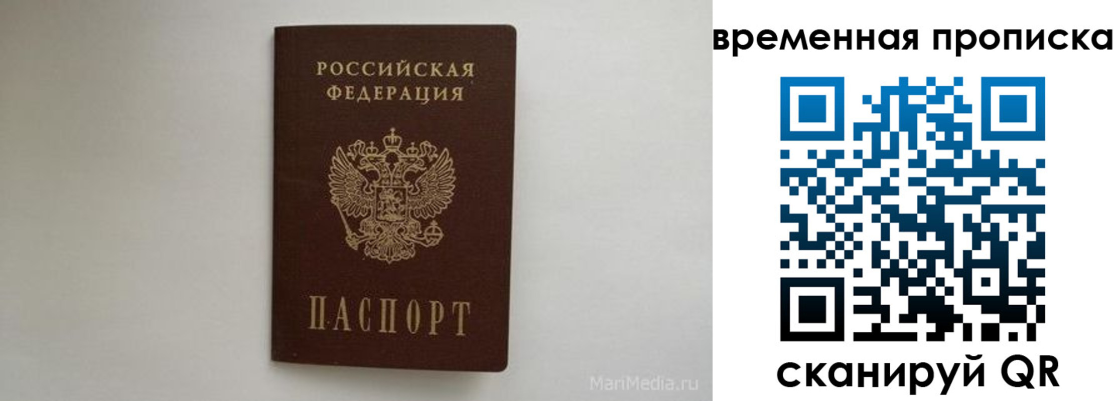 прописка для школы в Брянске